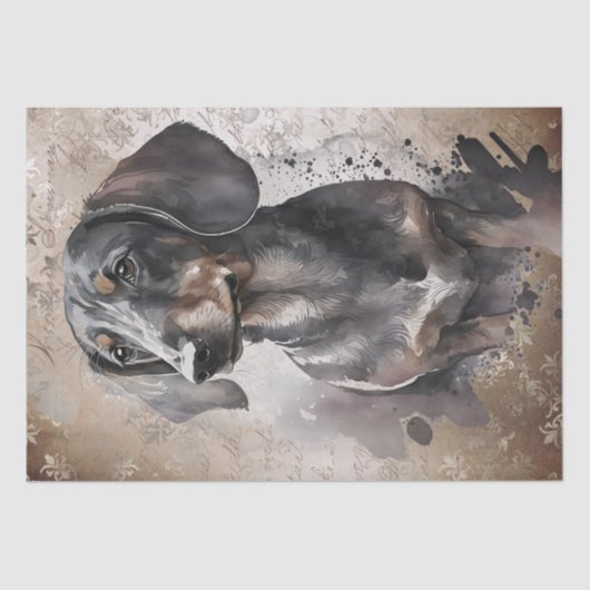 Papier Mousseline Aquarelle Dachshund Chien (Recto)