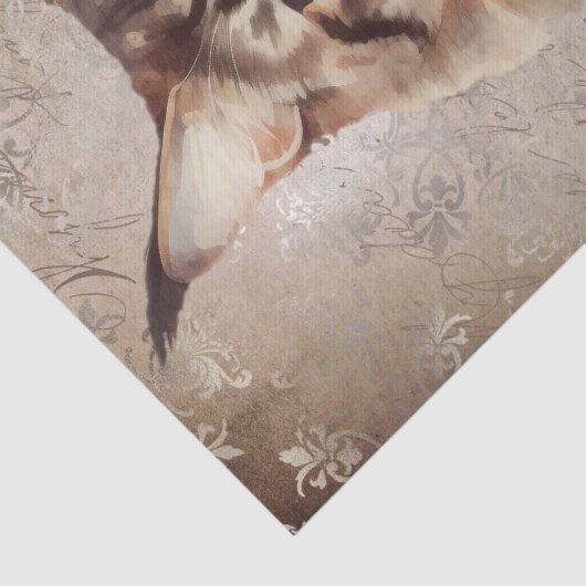 Papier Mousseline Aquarelle de chat Maine Coon (Détail)