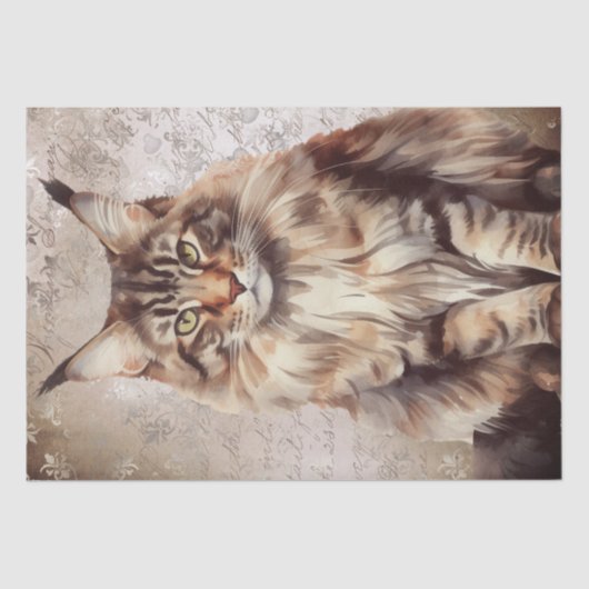 Papier Mousseline Aquarelle de chat Maine Coon (Recto)