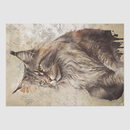 Papier Mousseline Aquarelle de chat Maine Coon (Recto)