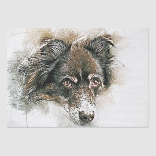 Papier Mousseline Aquarelle de chien berger australien (Recto)
