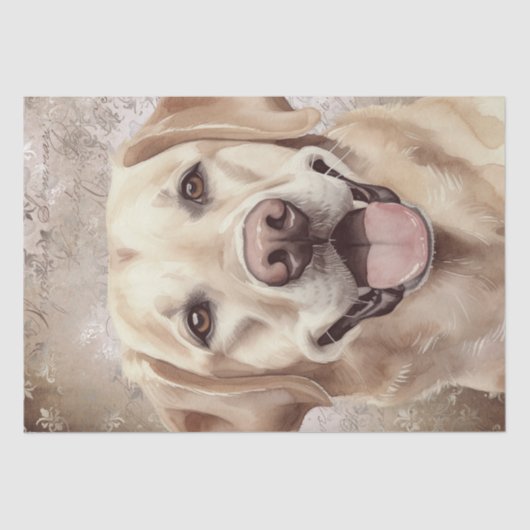 Papier Mousseline Aquarelle de chien du Labrador (Recto)
