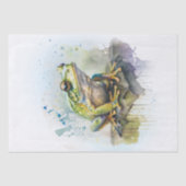 Papier Mousseline Aquarelle de grenouille (Recto)