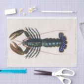 Papier Mousseline aquarelle de l'écrevisse bleue côtière (Artisanat)