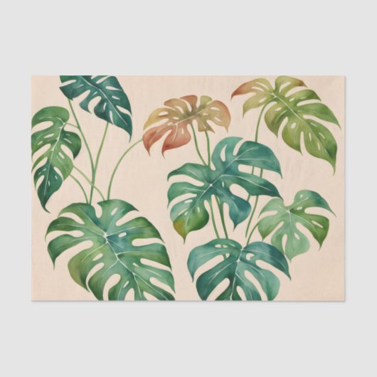 Papier Mousseline Aquarelle de Monstera Houseplant Boho (Recto)