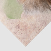 Papier Mousseline Aquarelle d'écureuil (Détail)