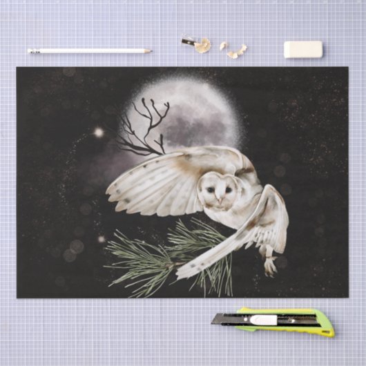 Papier Mousseline Aquarelle du hibou (Artisanat)