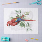 Papier Mousseline Aquarelle Eucalyptus de perroquet macaw Scarlet (Artisanat)