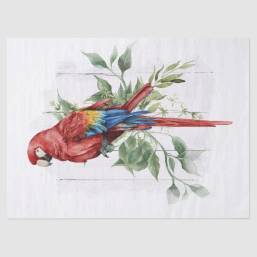 Papier Mousseline Aquarelle Eucalyptus de perroquet macaw Scarlet (Recto)