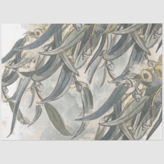 Papier Mousseline Aquarelle Eucalyptus Verdure Feuille (Recto)