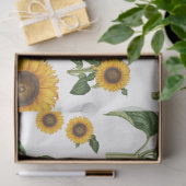 Papier Mousseline Aquarelle Fleurs de soleil Botanique Foliage Verdu (Cadeau)