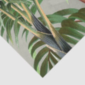 Papier Mousseline Aquarelle Forêt tropicale et Oiseaux du Toucan (Détail)