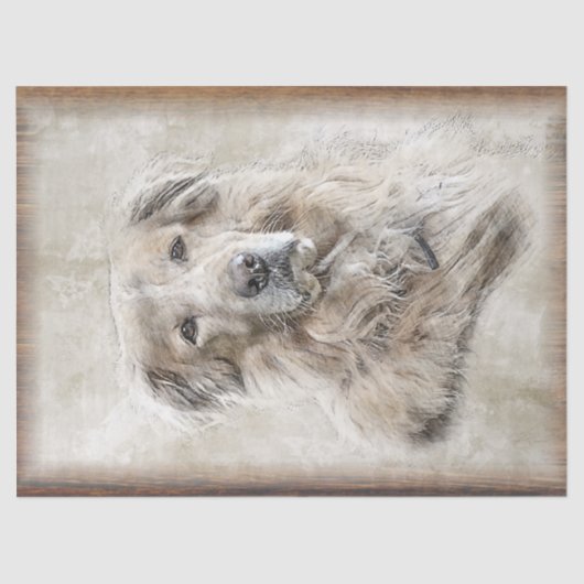 Papier Mousseline Aquarelle Golden Retriever Chien (Recto)