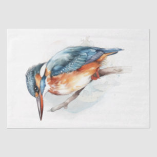Papier Mousseline Aquarelle Kingfisher Bird