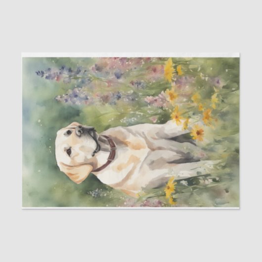 Papier Mousseline Aquarelle Labrador en décolpage de fleurs (Recto)