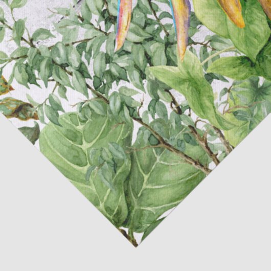 Papier Mousseline Aquarelle orange bleu perroquet (Détail)