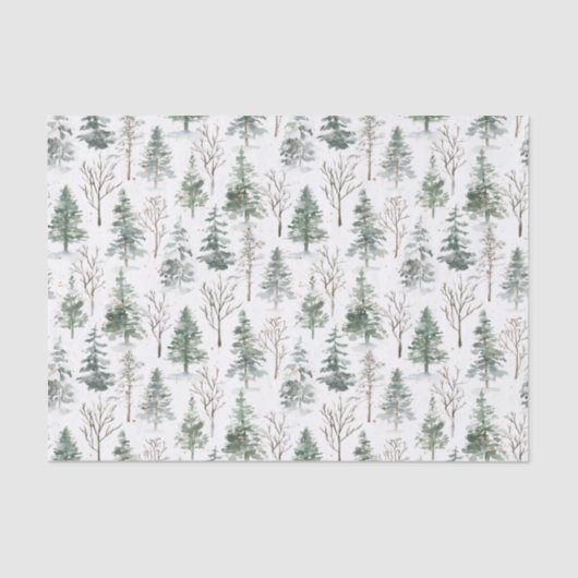 Papier Mousseline Aquarelle Pine Arbres hiver Noël (Recto)