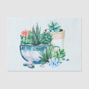 Papier Mousseline Aquarelle Plantes succulents dans les pots