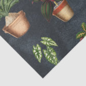 Papier Mousseline Aquarelle Pointe Plante Terracotta Pots Rustique (Détail)