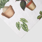 Papier Mousseline Aquarelle Pots Plante Motif Pots en terre cuite (Détail)