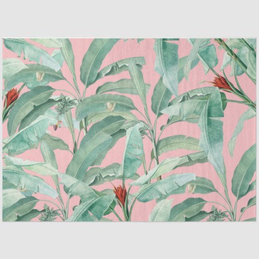 Papier Mousseline Aquarelle rose moderne Tropical Banana Palm Feuill (Recto)