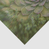 Papier Mousseline Aquarelle Succulente Rustique Vert Pays (Détail)