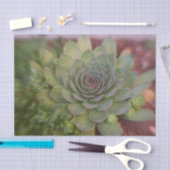 Papier Mousseline Aquarelle Succulente Rustique Vert Pays (Artisanat)