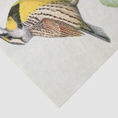 Papier Mousseline Aquarelle vintage de larve (Détail)