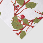 Papier Mousseline Aquarelle vintage Red Chercher Branch (Détail)