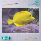 Papier Mousseline aquarium citron papier de tissu de poisson (Artisanat)