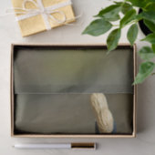 Papier Mousseline Arachide bleue (Cadeau)