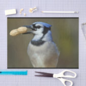 Papier Mousseline Arachide bleue (Artisanat)