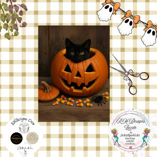 Papier Mousseline Araignée de chat noir Citrouille de découpage pour