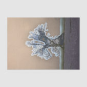 PAPIER MOUSSELINE ARBRE (Recto)