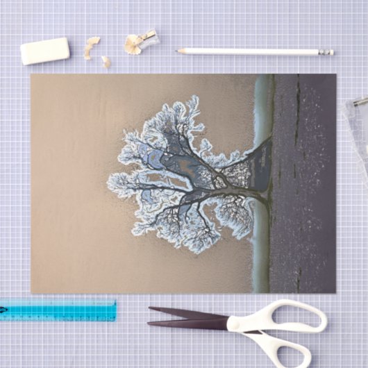 PAPIER MOUSSELINE ARBRE (Artisanat)