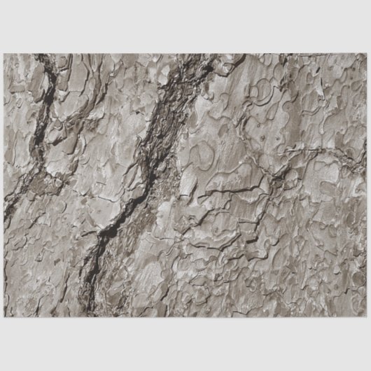 Papier Mousseline Arbre A (Recto)