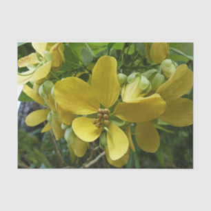 Papier Mousseline Arbre à douche dorée Tropical Jaune Floral
