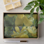 Papier Mousseline Arbre à douche dorée Tropical Jaune Floral (Cadeau)