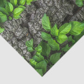 Papier Mousseline Arbre couvert de vigne (Détail)