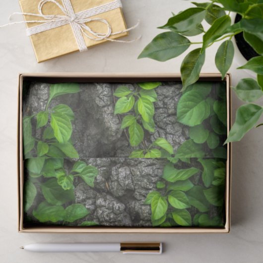 Papier Mousseline Arbre couvert de vigne (Cadeau)