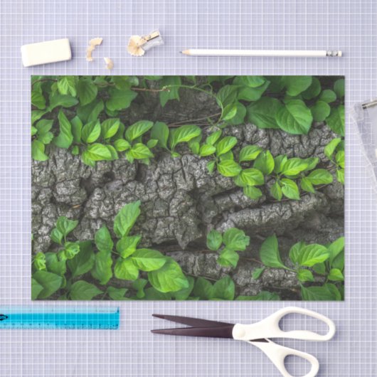 Papier Mousseline Arbre couvert de vigne (Artisanat)