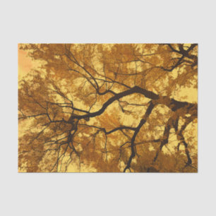 Papier Mousseline Arbre d'automne Feuilles oranges Ciel jaune