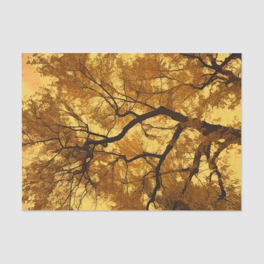 Papier Mousseline Arbre d'automne Orange Feuille Ciel Jaune (Recto)