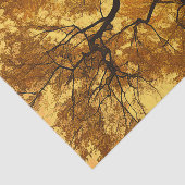 Papier Mousseline Arbre d'automne Orange Feuille Ciel Jaune (Détail)