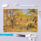 Papier Mousseline Arbre de bouleau d'automne (Artisanat)