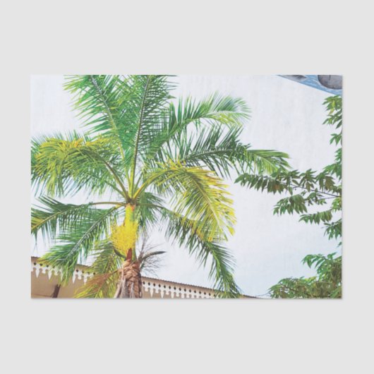 Papier Mousseline Arbre de palmier en papier Tissu Tropical (Recto)