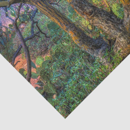 Papier Mousseline Arbre de Palo Verde (Détail)