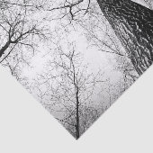 Papier Mousseline Arbre en noir et blanc (Détail)