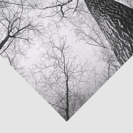 Papier Mousseline Arbre en noir et blanc (Détail)