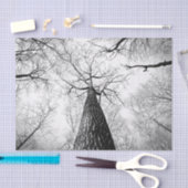 Papier Mousseline Arbre en noir et blanc (Artisanat)